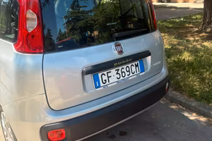 Panda2021