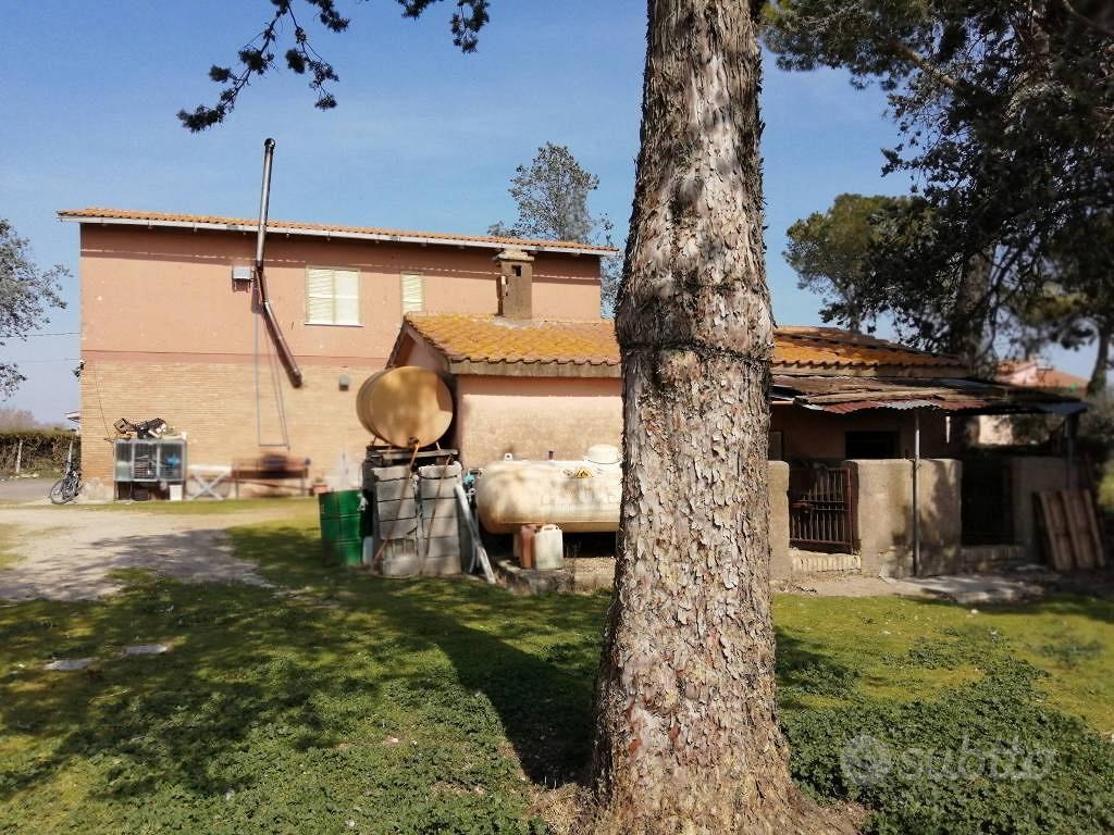 Terreno di 230000 m² a Montelibretti - Vista 5