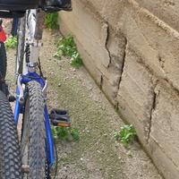 Bici 24