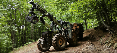 Hurlimann h 478-4 con applicazione forestale