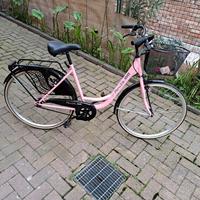 Bicicletta Olandese Ruete 66