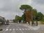 Immagine 6