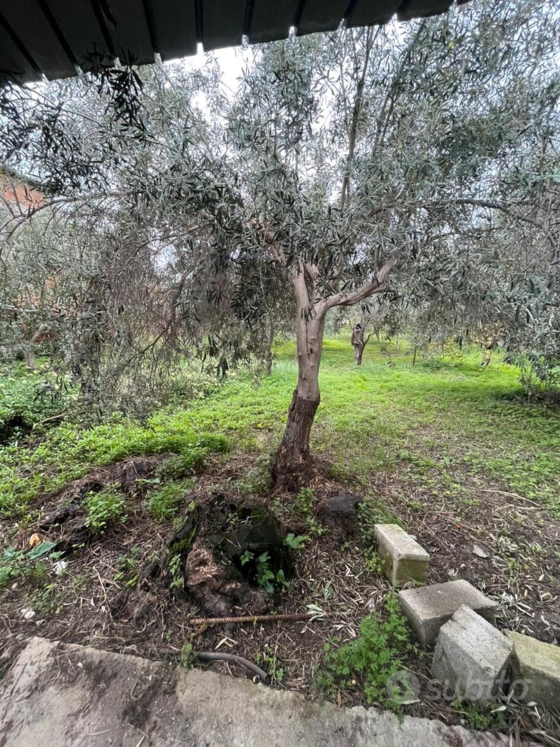Terreno edificabile a Locri - Vista 5