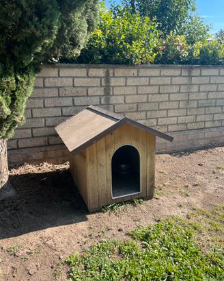 Cuccia grande