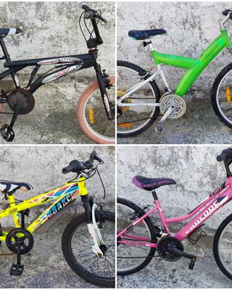 Mountain bike e bici varie 
