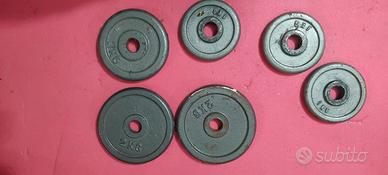 dischi manubri bilanciere