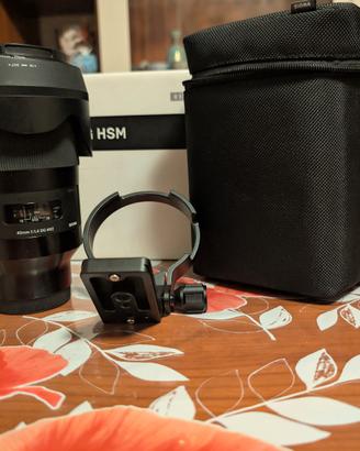 sigma art 40 1.4   x Sony fe