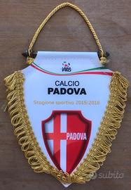 Gagliardetto Padova