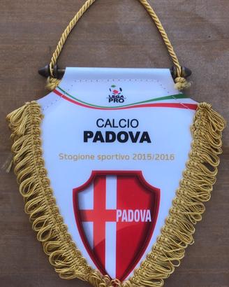 Gagliardetto Padova
