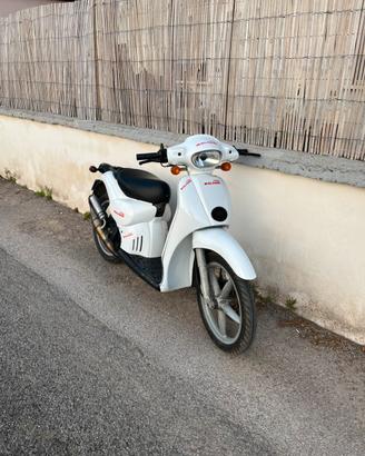 Scarabeo 50 2t minarelli orizzontale
