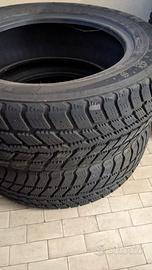 2 pneumatici invernali 205/60/16