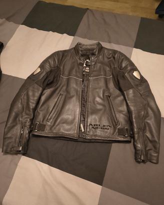 giacca moto arlen ness