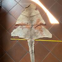 Tappeto in vera pelle di canguro