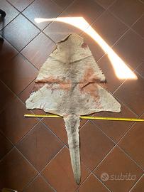 Tappeto in vera pelle di canguro