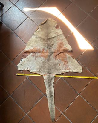 Tappeto in vera pelle di canguro