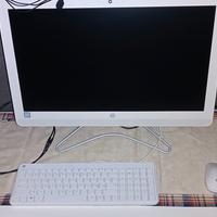 computer monitor hp all in One 