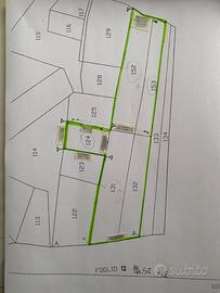 Terreno agricolo casalnuovo monterotaro