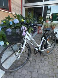 Bianchi Spillo