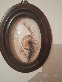 quadro occhiio