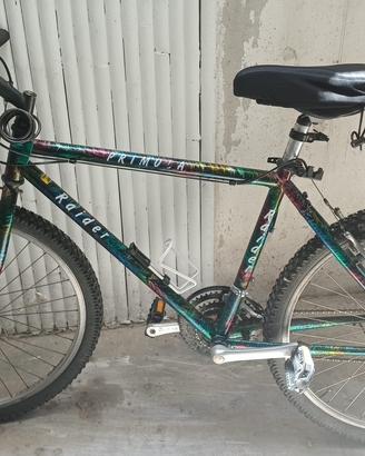 Mountain bike