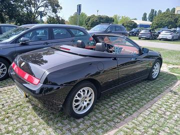 alfa spider
