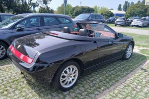 alfa spider