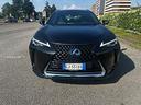 lexus-ux-hybrid-250-exsecutive