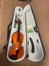 Violino