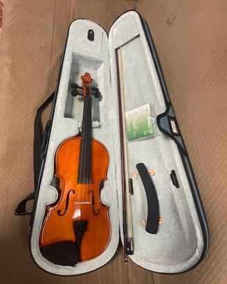 Violino