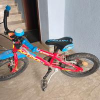 Bicicletta raggio 16