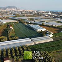 Terreno 5.000 mq ca. con serre | TR468