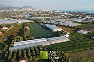 Terreno 5.000 mq ca. con serre | TR468