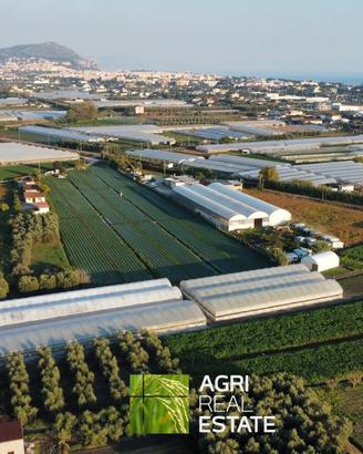 Terreno 5.000 mq ca. con serre | TR468