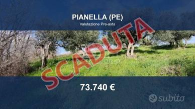 Immobile in asta di 41362 m² a Pianella