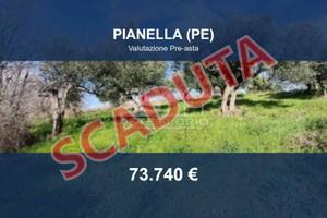 Immobile in asta di 41362 m² a Pianella