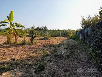 Terreno agricolo 2000m² al fianco di Capo d'Orlano