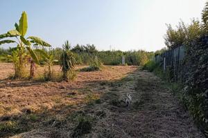 Terreno agricolo 2000m² al fianco di Capo d'Orlano
