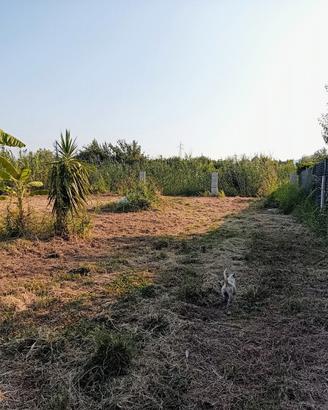 Terreno agricolo 2000m² al fianco di Capo d'Orlano