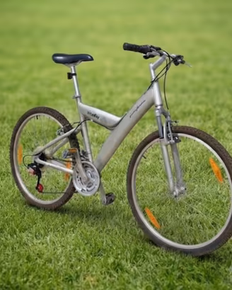 Mountain bike