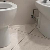 Coppia sanitari Ideal Standard