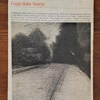 Erich Fromm. Fuga dalla libertà