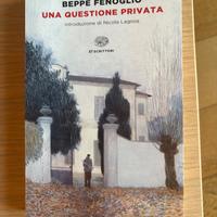 Una questione privata. Beppe Fenoglio