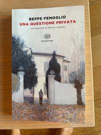 Una questione privata. Beppe Fenoglio