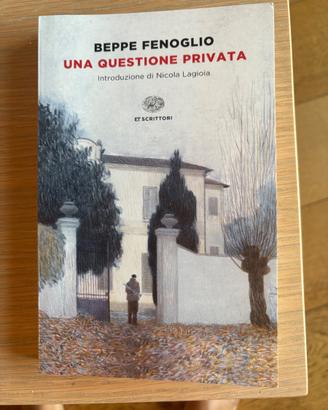 Una questione privata. Beppe Fenoglio