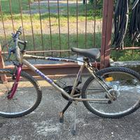 mtb 26x1.95 ragazzo 