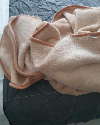panno cammello