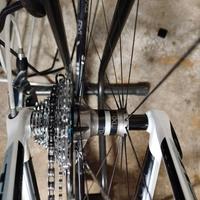 Ruote BDC Rim