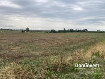 Terreno di 46000 m² a Capalbio