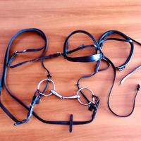 Testiera per doppio pony