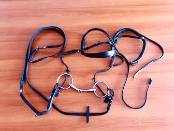 Testiera per doppio pony